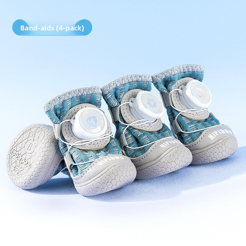 pet shoes