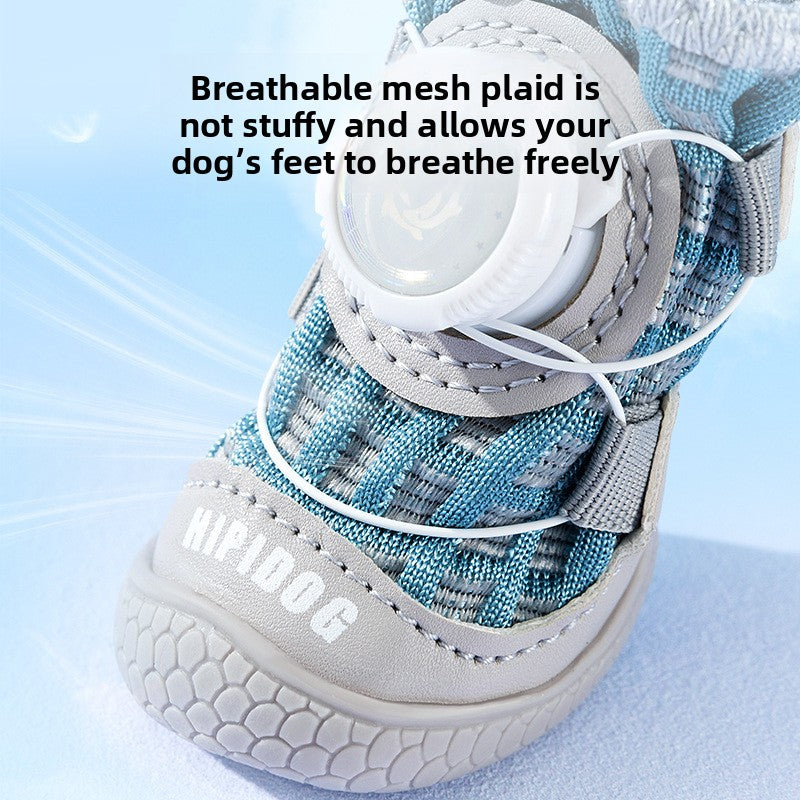 pet shoes