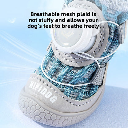pet shoes