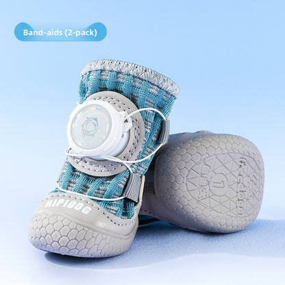 pet shoes