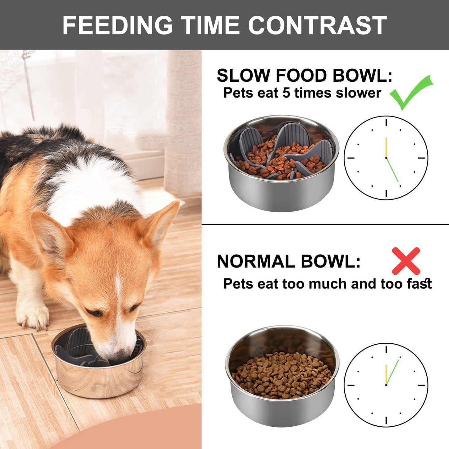 Pet Slow Eating Bowl