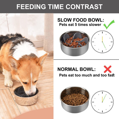 Pet Slow Eating Bowl