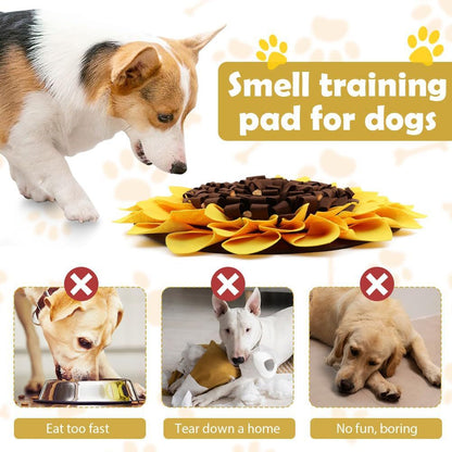 Pet sniffing pad interactive toy