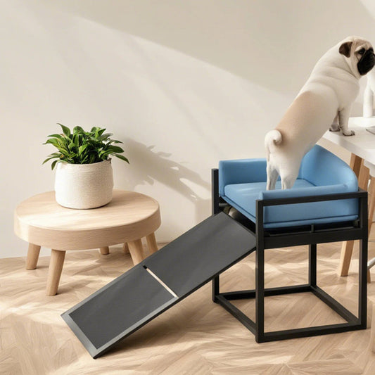 Pet sofa bed