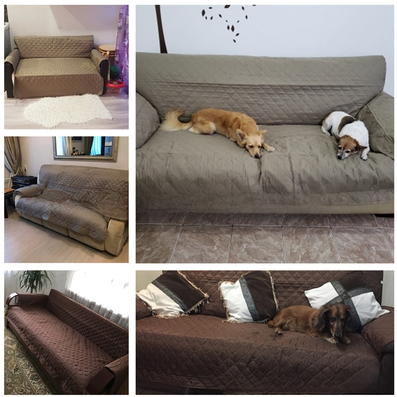 Pet Sofa Pad