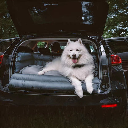 pet sofa