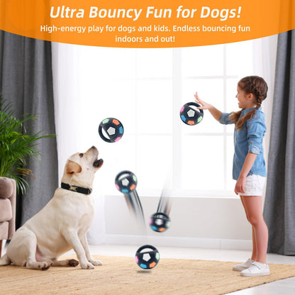 Pet Squeak Toy