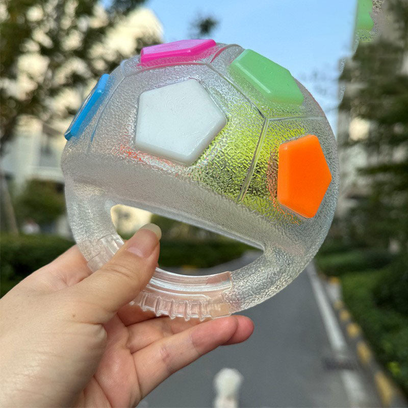 Pet Squeak Toy