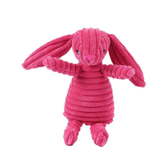 Pet Squeaky Toy