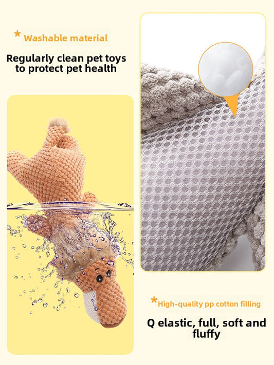 Pet Squeaky Toy