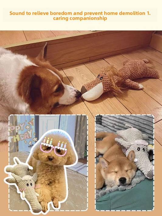 Pet Squeaky Toy