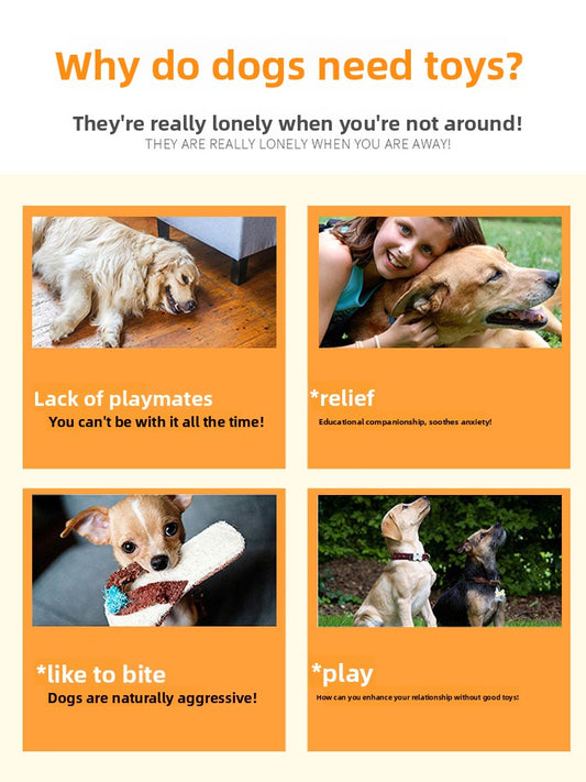 Pet Squeaky Toy
