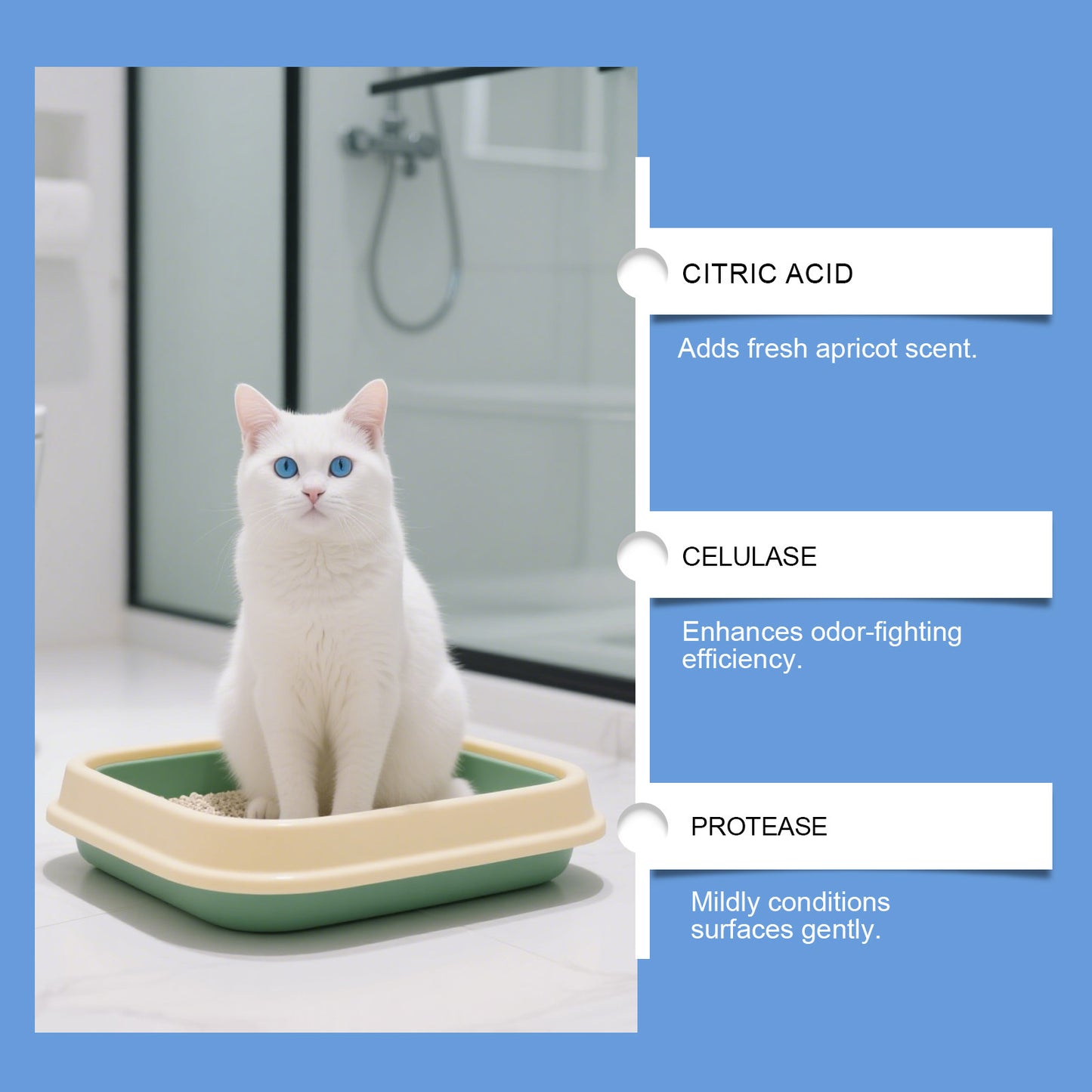 Pet Stain Cleaner