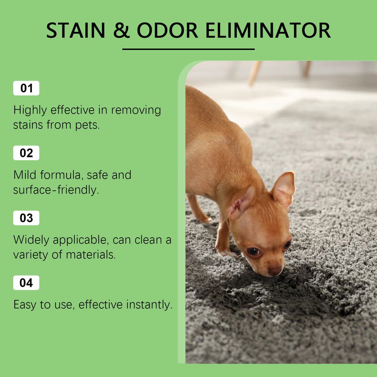 Pet Stain Remover for Cats and Dogs