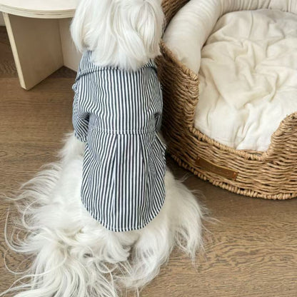 Pet Striped Collar Shirt
