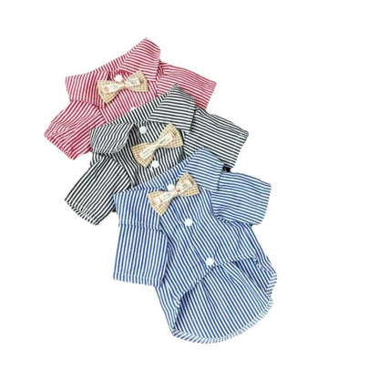 Pet Striped Collar Shirt
