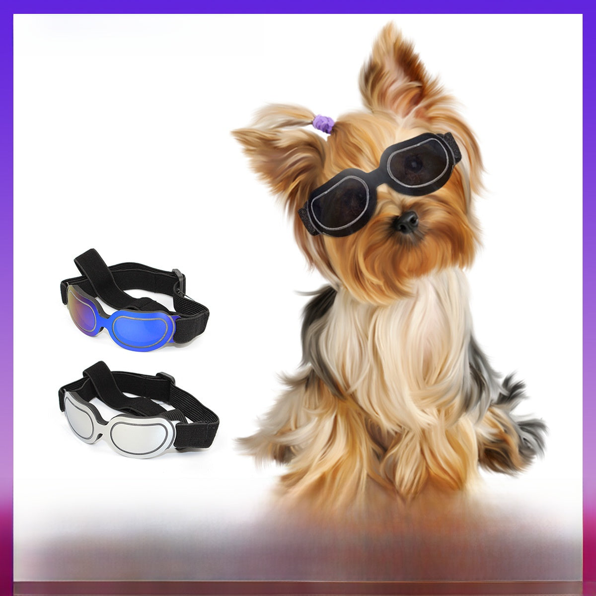 pet sunglasses