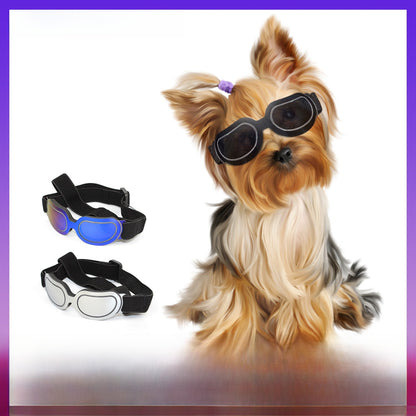 pet sunglasses