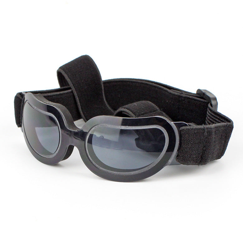 pet sunglasses