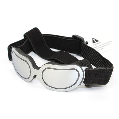 pet sunglasses