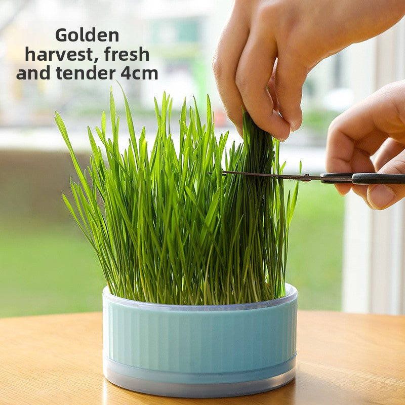 Pet Supplies Cat Grass Pot Toys