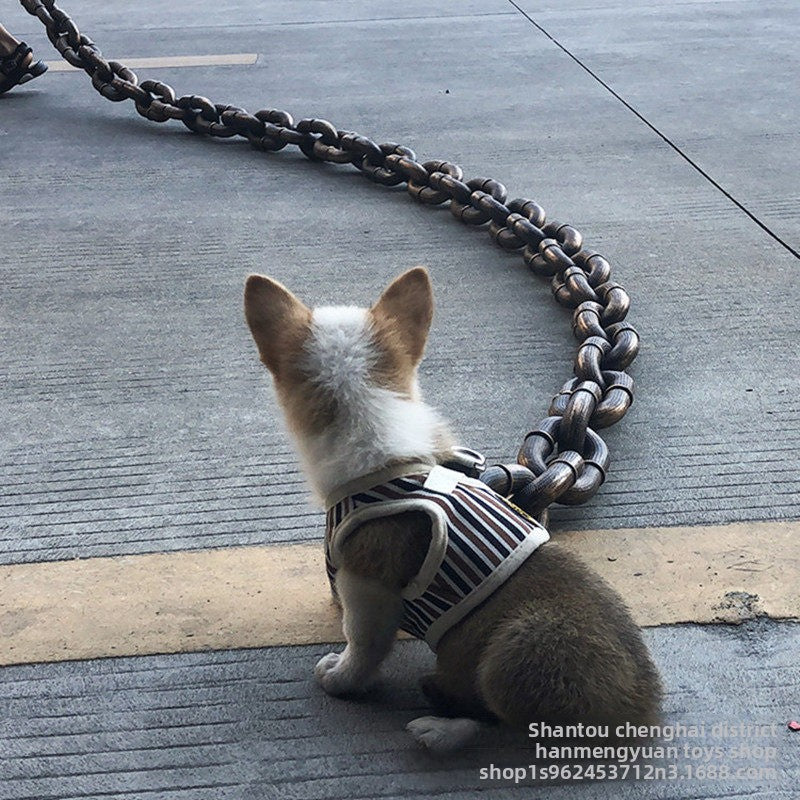 Pet Supplies Leash