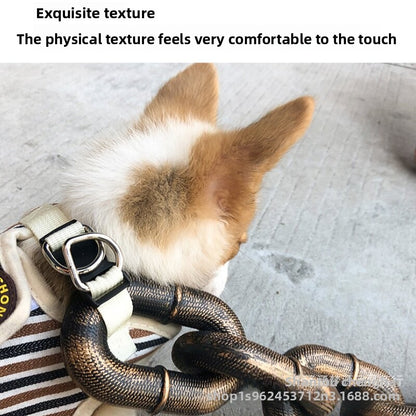 Pet Supplies Leash