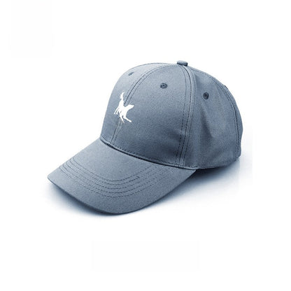 Pet supplies outdoor outing travel parent cap