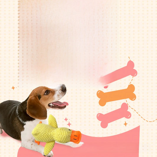 Pet supplies