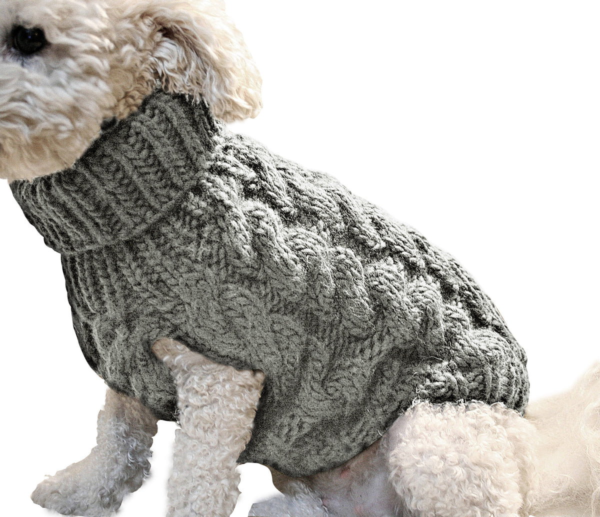 pet sweater