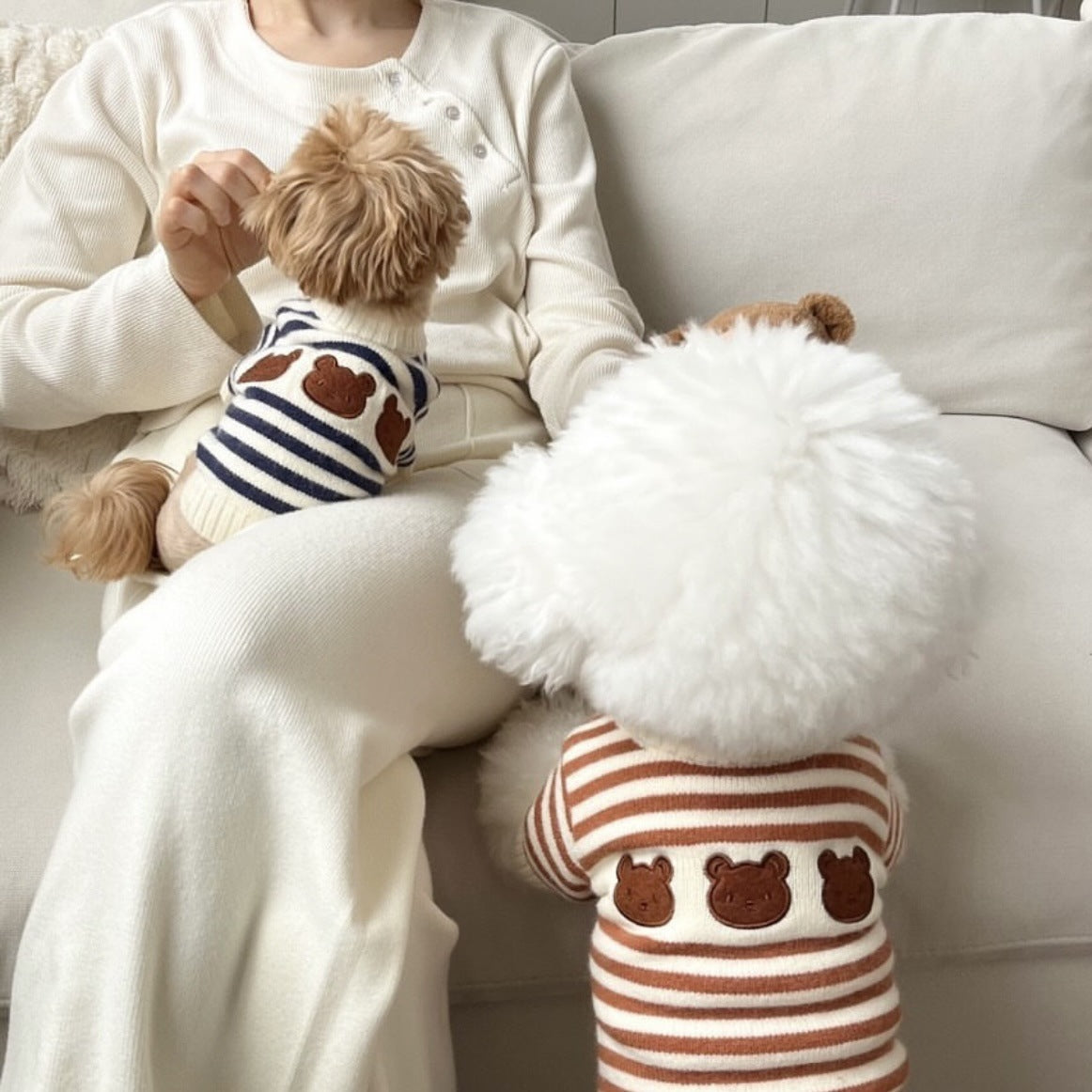 Pet sweater
