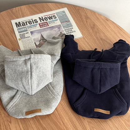pet sweatshirt