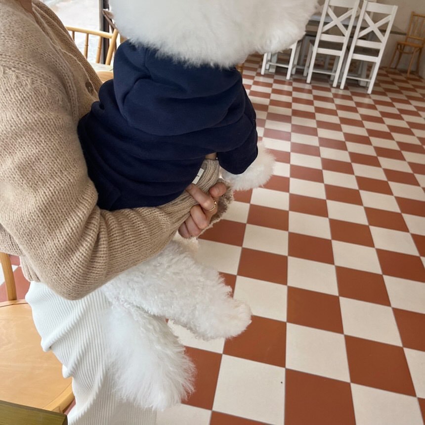 pet sweatshirt