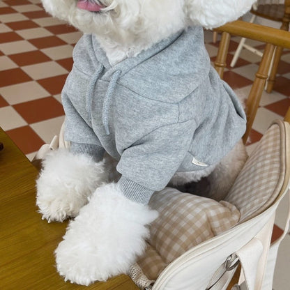 pet sweatshirt