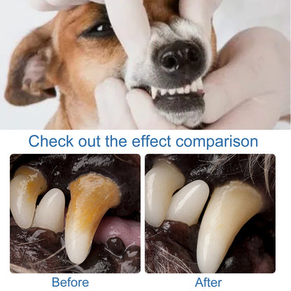Pet Teeth Cleaning Foam