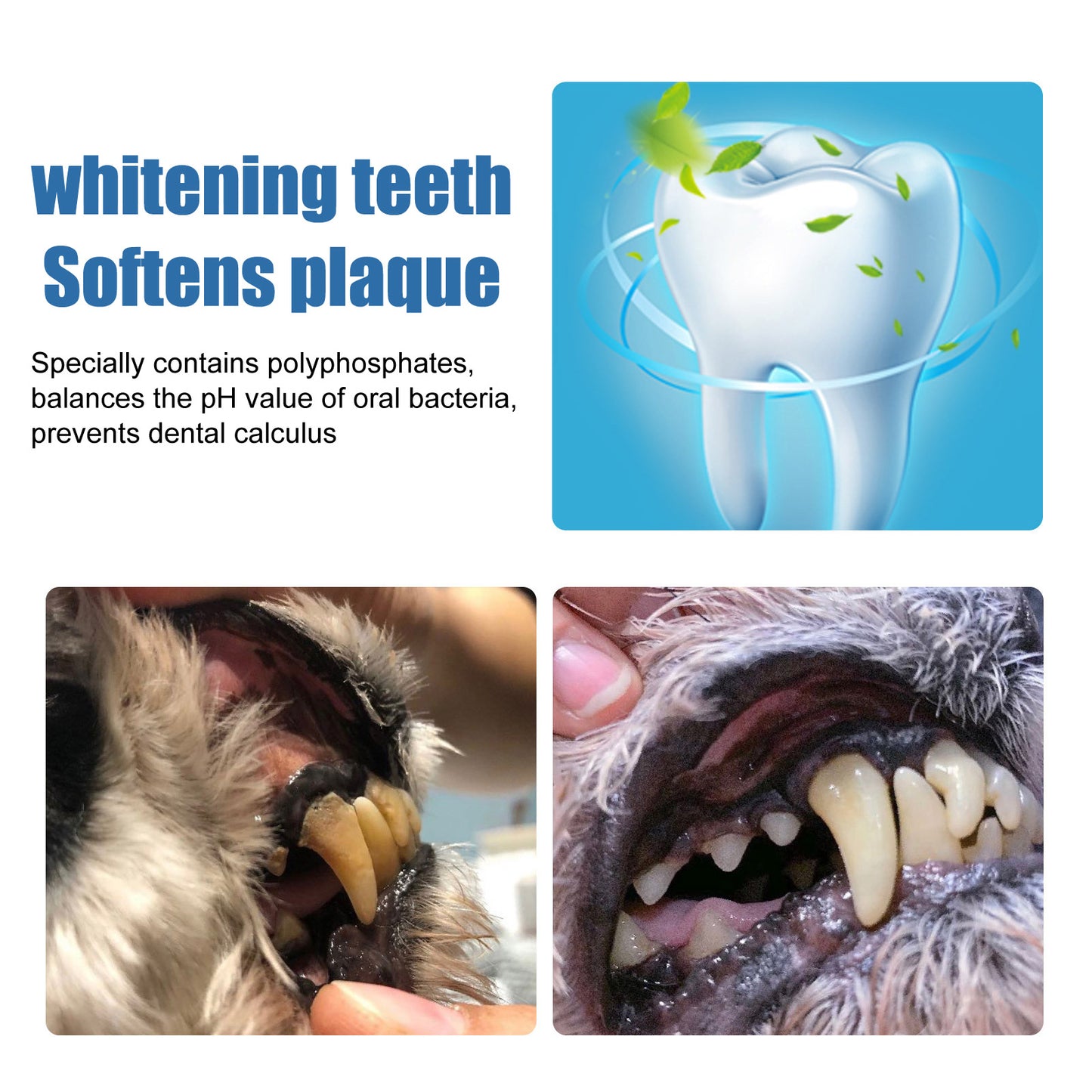 Pet Teeth Cleaning Foam