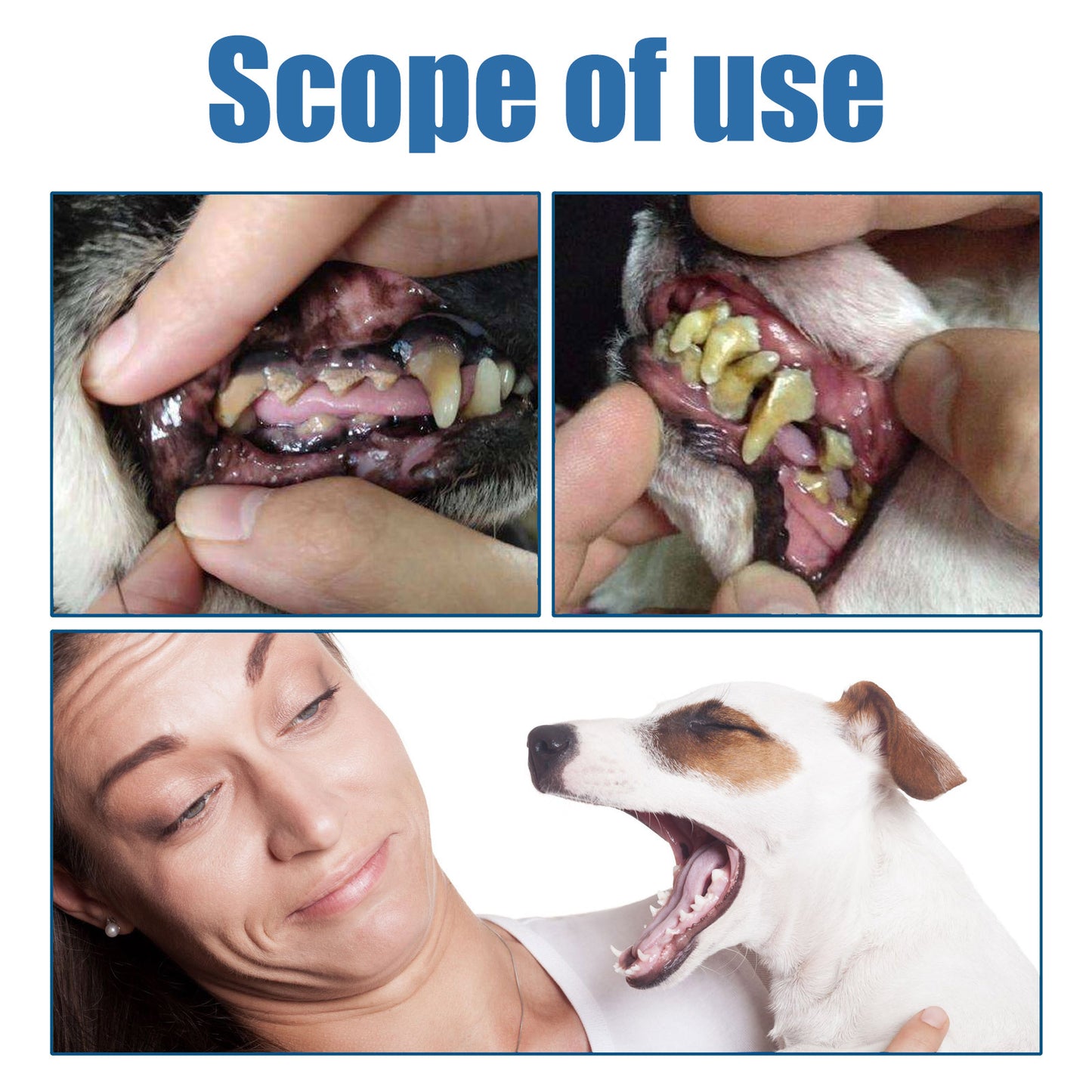 Pet Teeth Cleaning Foam