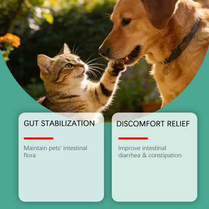 Pet Teeth Cleaning Powder