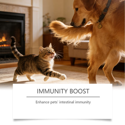 Pet Teeth Cleaning Powder