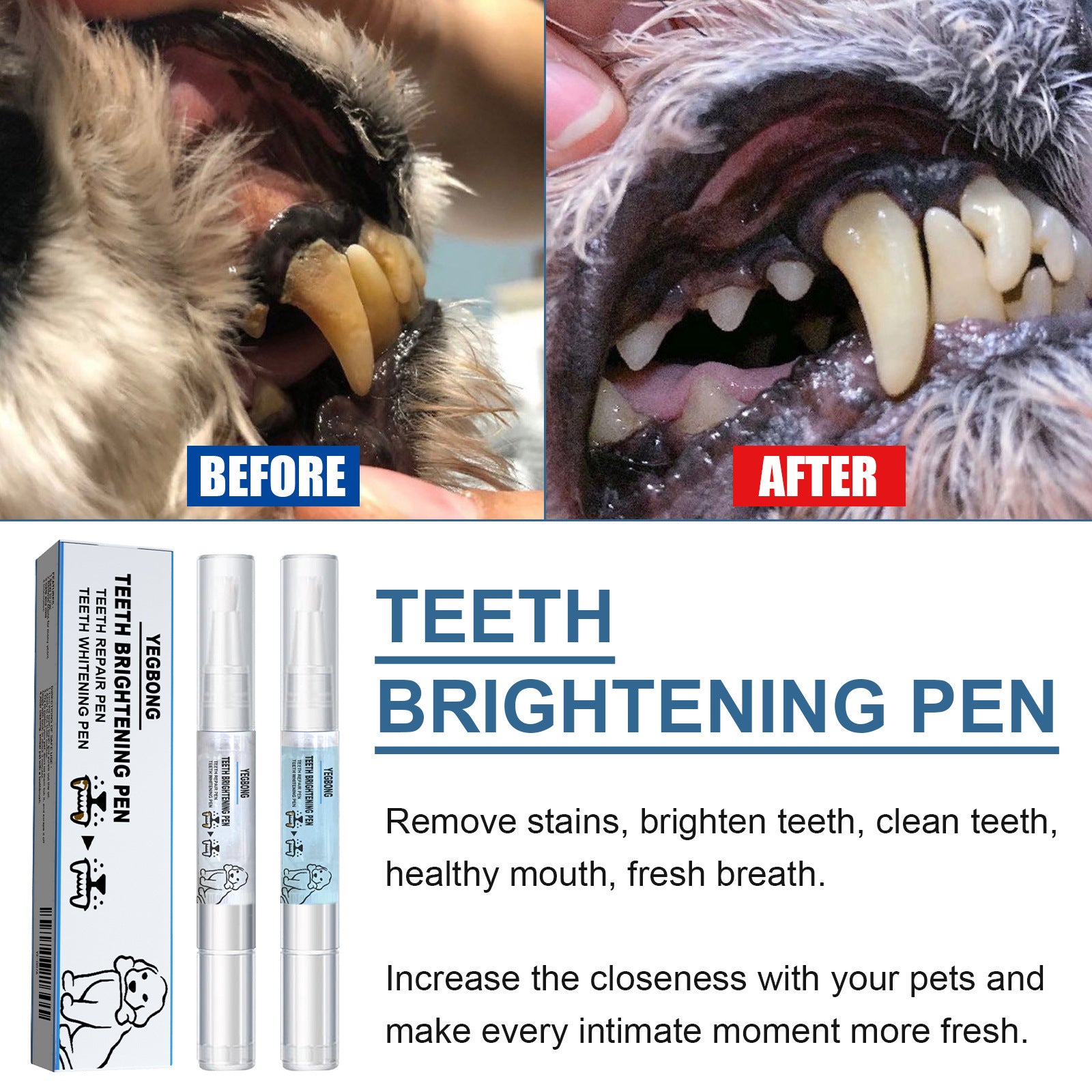 Pet Tooth Pen