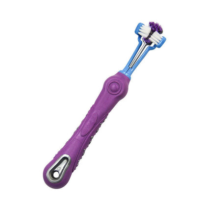 pet toothbrush