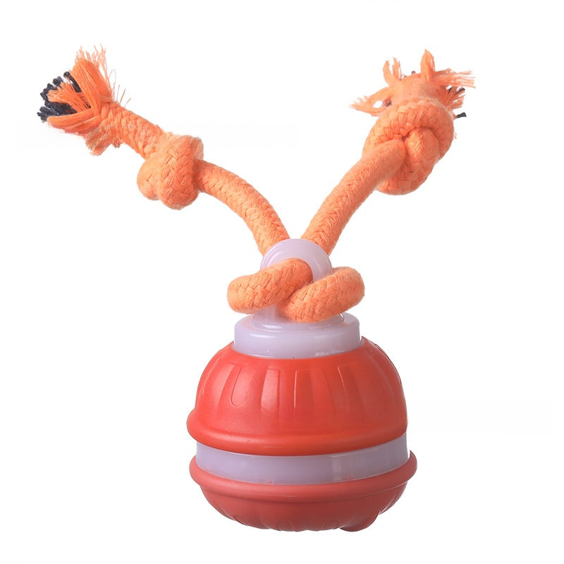 Pet toy ball