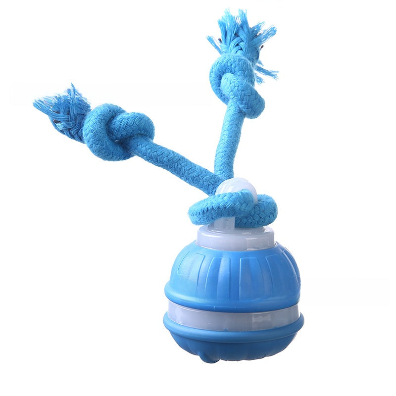 Pet toy ball