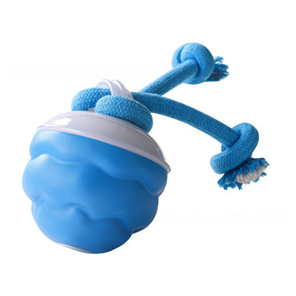 Pet toy ball