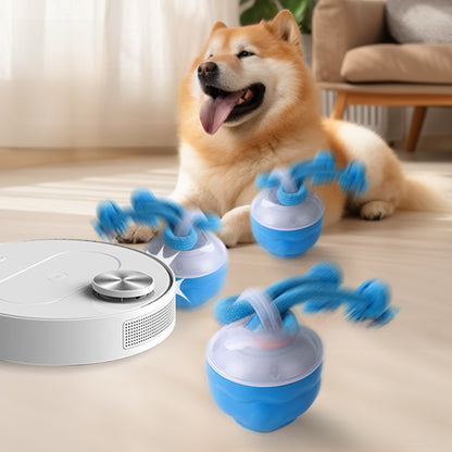 Pet toy ball