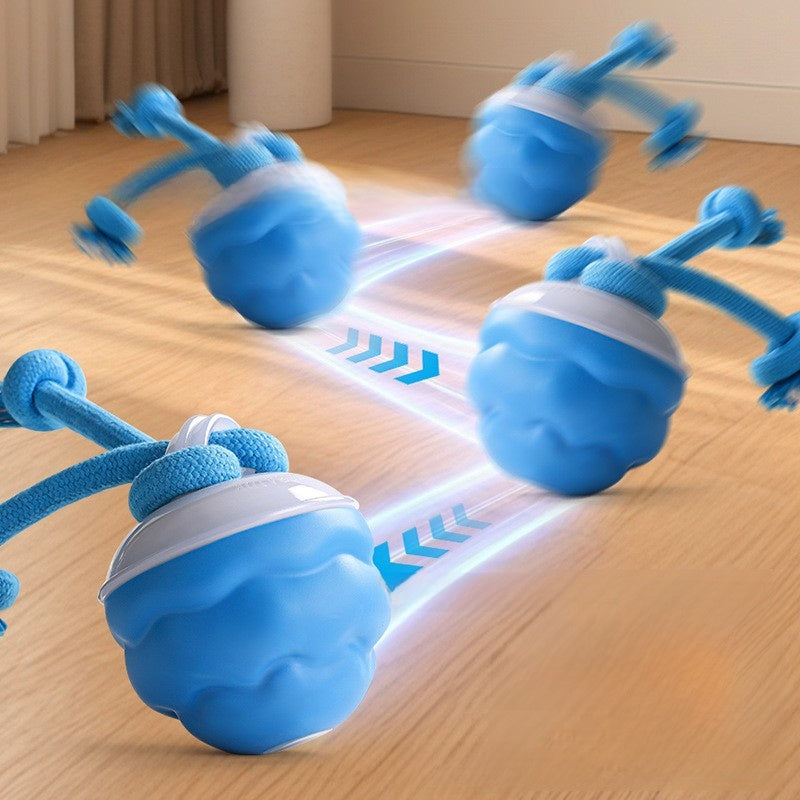 Pet toy ball