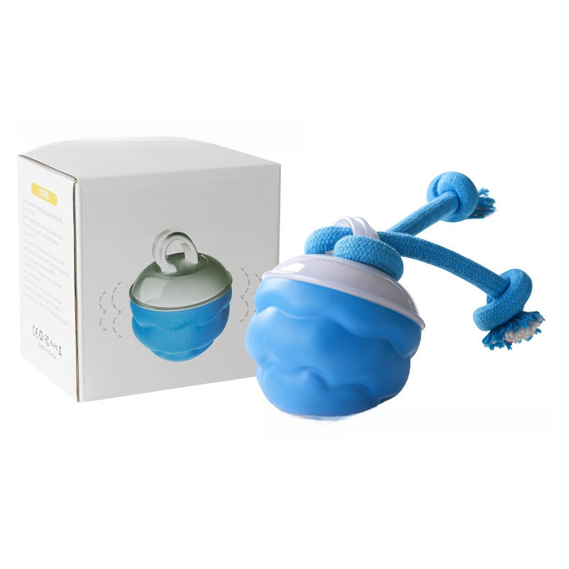 Pet toy ball