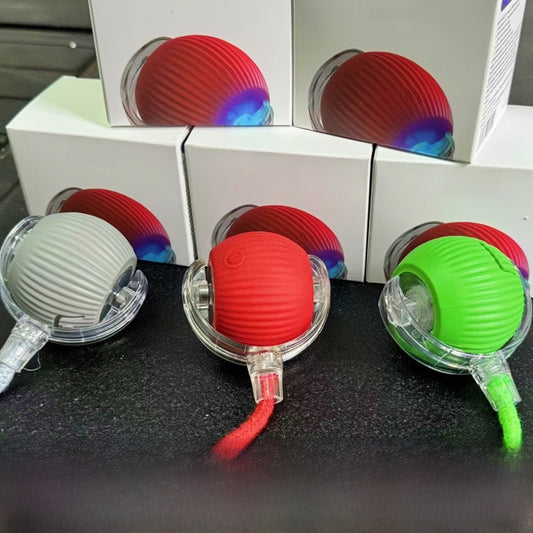 Pet Toy Ball
