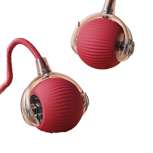 Pet Toy Ball