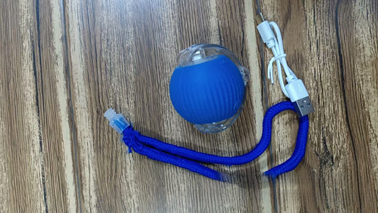 pet toy ball
